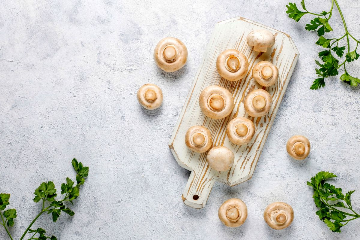 اهمیت یادگیری پرورش قارچ