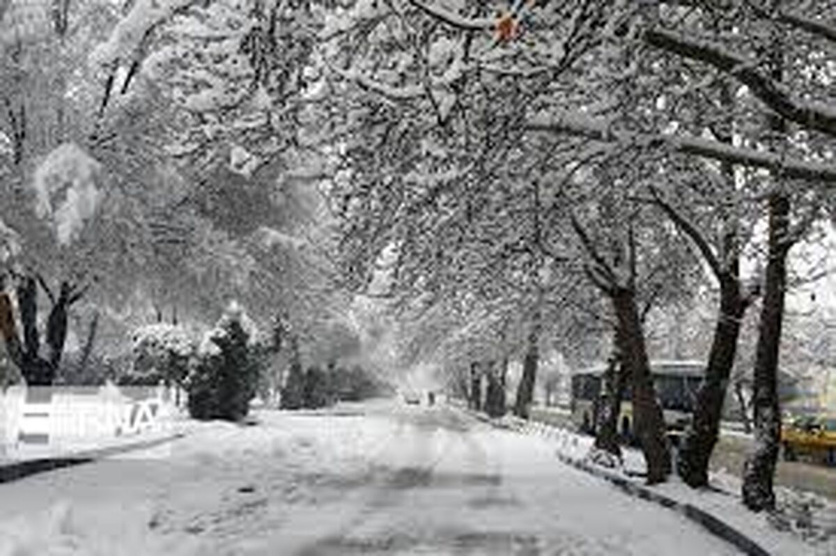 هشدار: یخبندان در راه است | کاهش 20 درجه دما