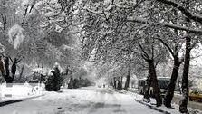 هشدار: یخبندان در راه است | کاهش 20 درجه دما