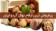 پرفروش ترین ارقام نهال گردو ایران چه ارقامی می باشند