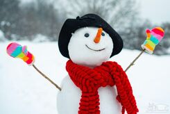 بارش برف و باران در جاده‌های ۱۸ استان کشور