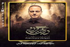 دانلود آهنگ جدید علیرضا قربانی درخت گردو