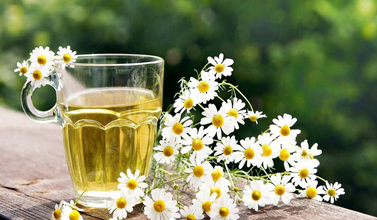 فواید دمنوش بابونه