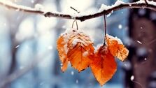 هواشناسی ایران ۱۴۰۲؛/۱۲/۱۰ | هشدار نارنجی کاهش دما در ۲۱ استان| افزایش دما در کشور از شنبه