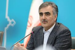 فرزین از ایران رفت
