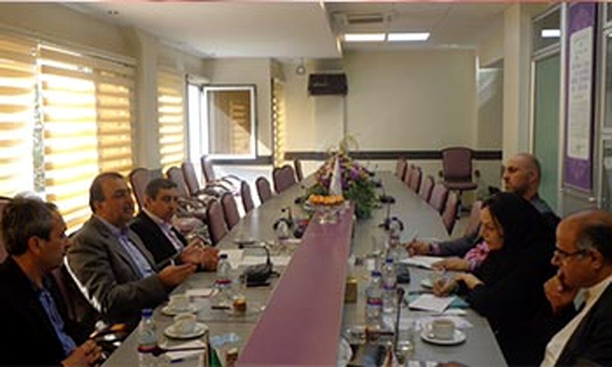 سیستمى سازى ثبت سفارش از رانت، تبعیض و فساد جلوگیرى مى کند