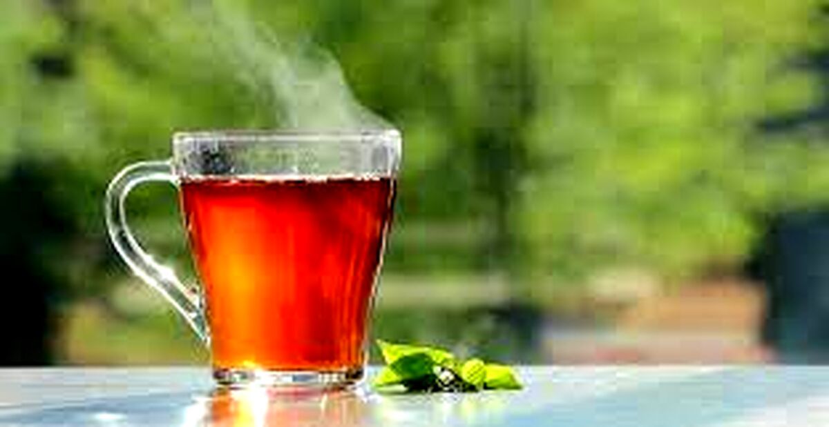 روند صعودی قیمت چای 