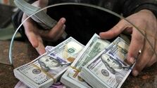شرایط جدید خرید دلار با کارت ملی| دلار با کارت ملی را از کدام صرافی‌ها بخریم؟