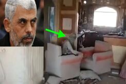 مالک خانه ای که یحیی سنوار در آن شهید شد فیلمی از آنجا منتشر کرد