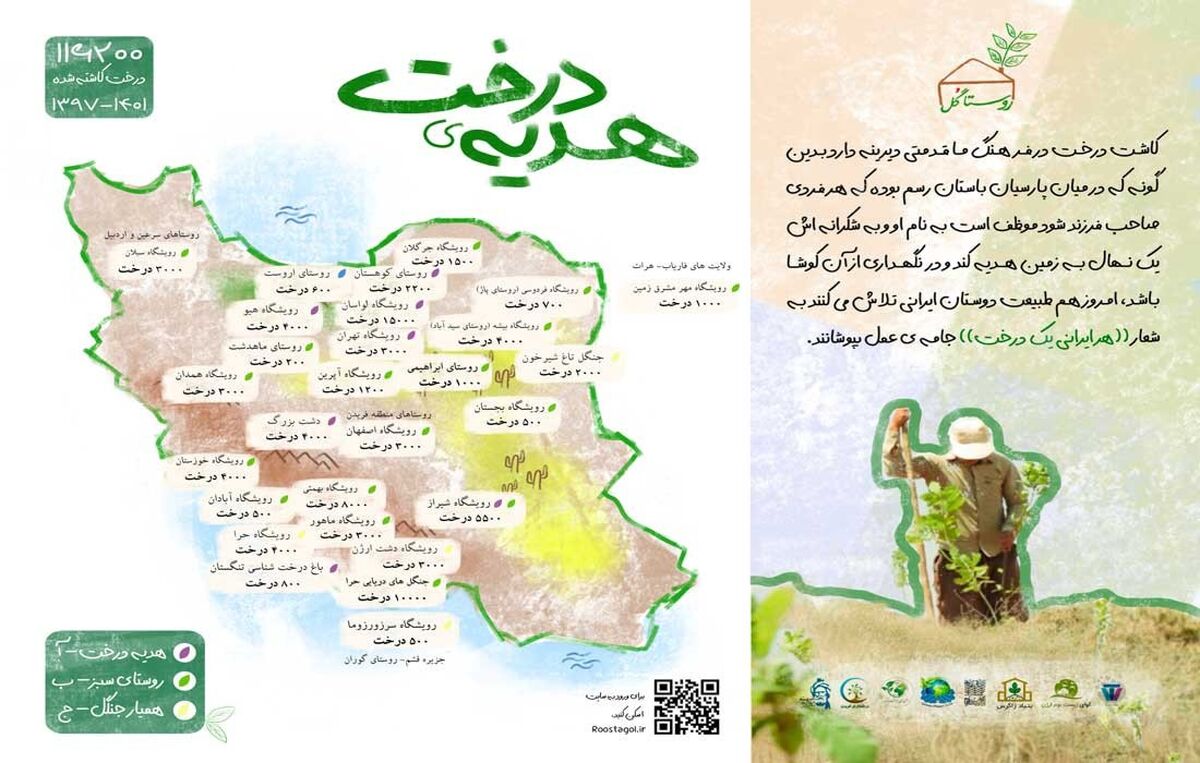 آیا می دانستید میزان زیادی از جنگل‌های ایران از دست رفته است؟

