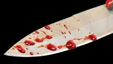 دستگیری قاتل فراری پس از 15 سال / در کوهدشت فاش شد