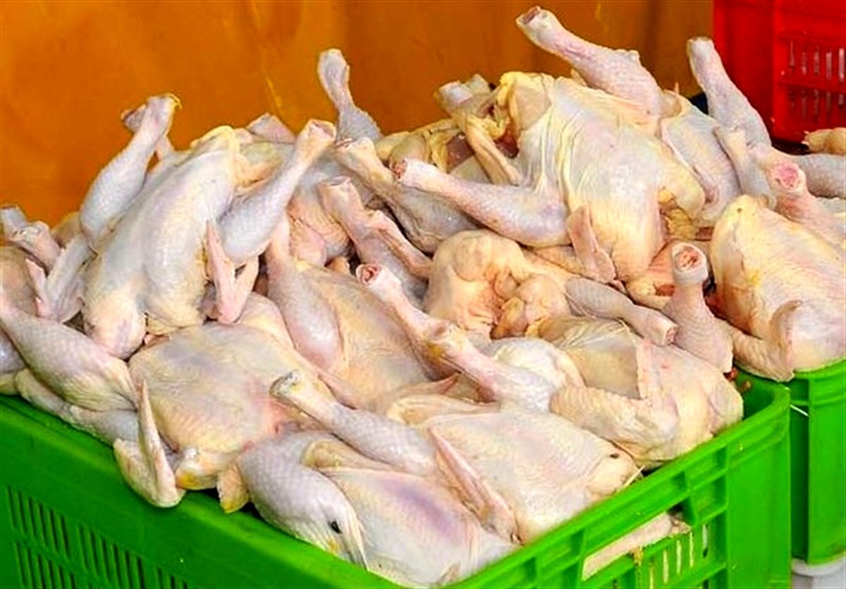 هشدار، دستور جدید اتحادیه مرغداران/قیمت مرغ ارزان شد؟