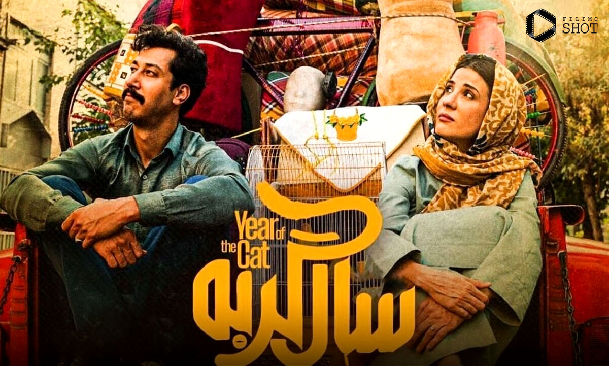 نگاهی به فیلم سال گربه و دلایل موفقیت‌اش در گیشه | مُسکِن سینمایی