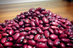 چگونه بهترین لوبیا را برای خورشت قورمه سبزی انتخاب کنیم؟