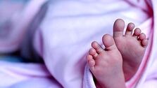 قیمت رحم اجاره‌ای سر به فلک کشید