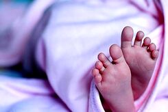 قیمت رحم اجاره‌ای سر به فلک کشید
