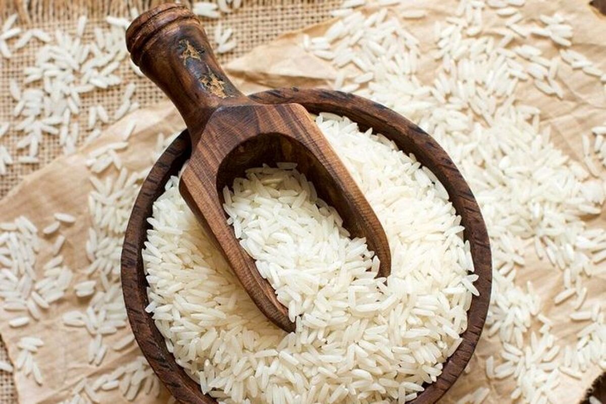 گرانی بی سابقه قیمت برنج| قیمت 1کیلو برنج هاشمی معطر گیلان +  جدول جدیدترین قیمت برنج