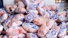 قیمت مرغ ارزان شد؟