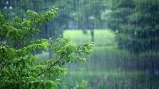 پیش بینی هوا / بارش های پاییزی شدیدتر میشود