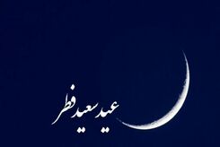 مدارس تا آخر هفته تعطیل شد