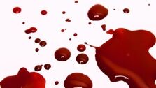 زن و شوهر یاسوجی قاتل سریالی بودند
