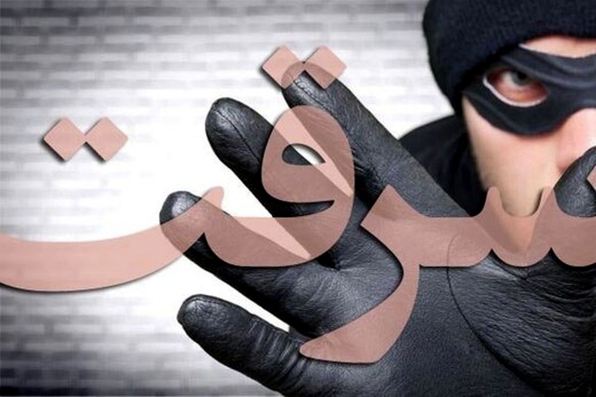 دختری بعد ازدواج با خواهر شوهرش دزدی را شروع کرد + جزئیات