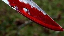 بازداشت قاتل زوج تهرانی در حوالی محل جنایت