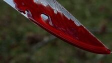 بازداشت قاتل زوج تهرانی در حوالی محل جنایت