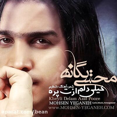 دانلود آهنگ محسن یگانه خیلی دلم ازت پره