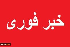 خبر اعجاب انگیز | کوچک‌ترین و سبک ترین ماه‌نورد جهان را تماشا کنید