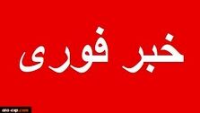خبر اعجاب انگیز | کوچک‌ترین و سبک ترین ماه‌نورد جهان را تماشا کنید