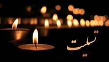 کدام کشورها در همبستگی با ایران عزای عمومی اعلام کردند؟