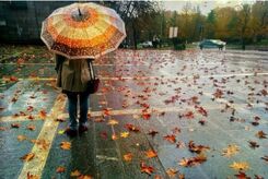 پیش بینی هوای تهران