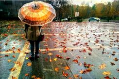پیش بینی هواشناسی امروز 4 آذر 1403
