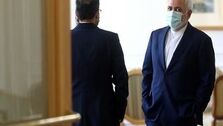 فرزند کروبی: ۵ روز پیشتر فایل صوتی ظریف را دریافت کردم