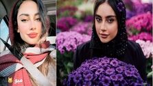 عکس زیبای ترلان پروانه در طبیعت| ببینید