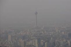 آسیب های آلودگی هوا را با کدام خوراکی ها رفع کنیم