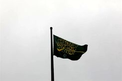 اهتزار ابرپرچم علی ولی‌الله(ع) در تهران + عکس
