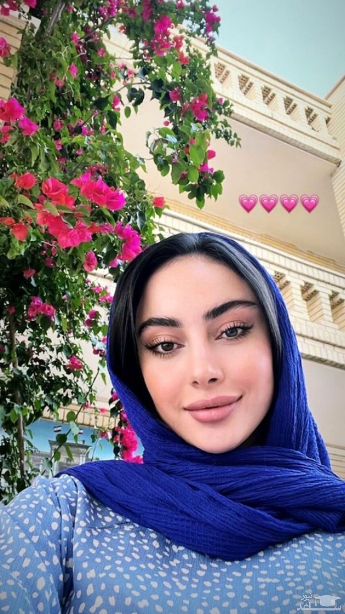 ترلان پروانه مشهدی شد
