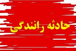 ببینید لحظه حادثه عجیب چپ کردن پژو ۲۰۶ در دل جنگل + فیلم