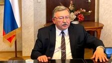 پیام توئیتری اولیانوف در آستانه مذاکرات وین